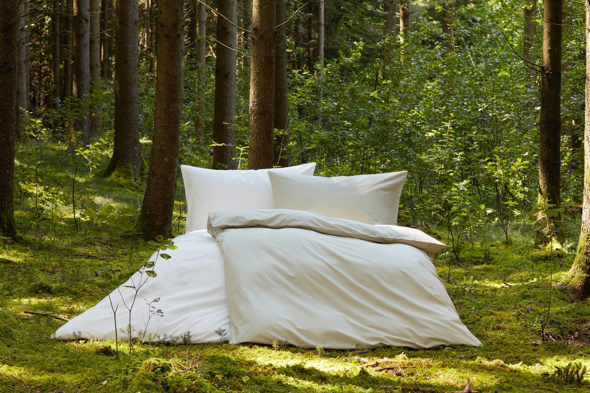 Bettwäsche Bio-Lisa Uni in Grün ca. 135x200cm - Grün, MODERN, Textil (135/200cm) - ecoTree