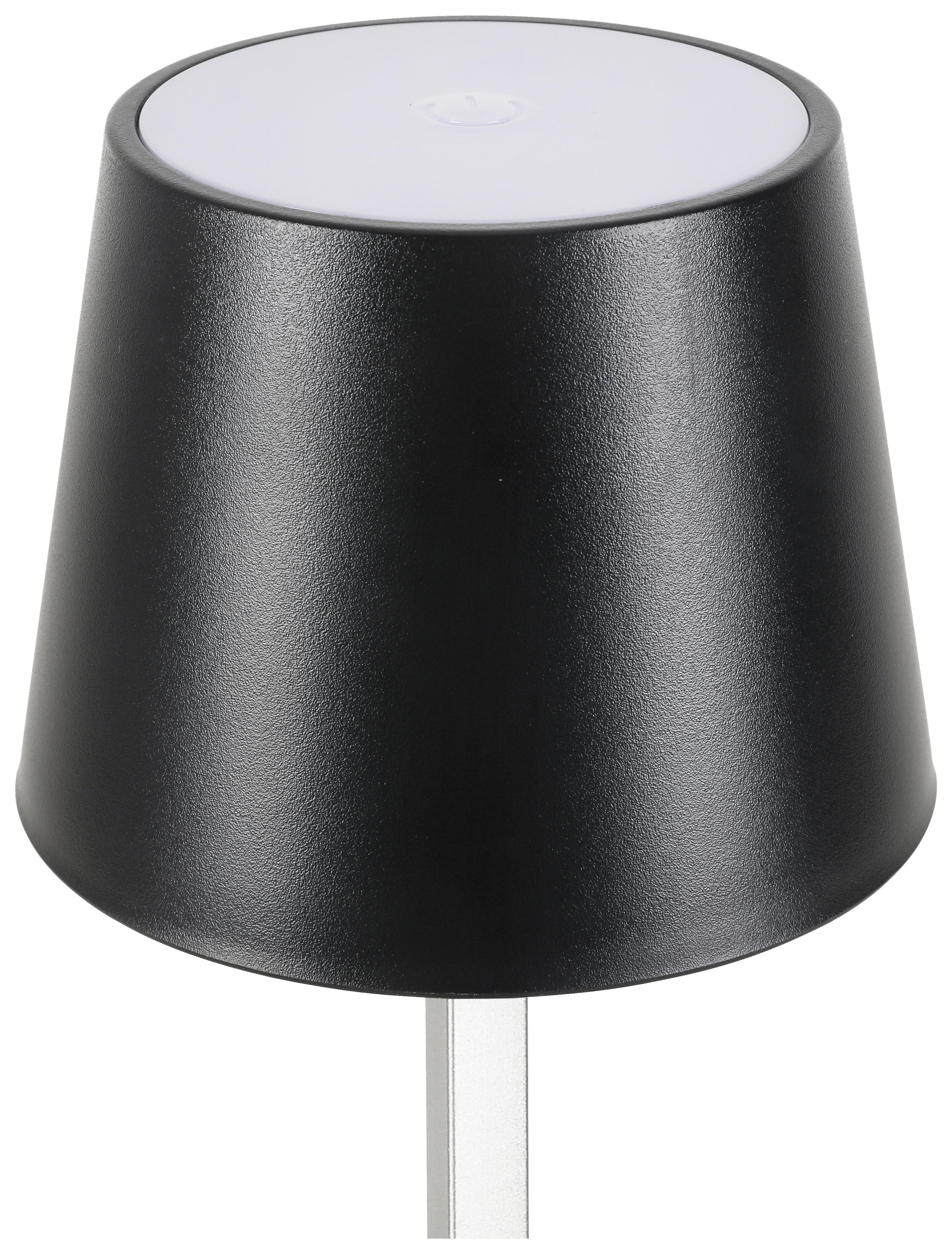LED-Dekoleuchte Gopi Schwarz max. 1,5 Watt - Silberfarben/Schwarz, ROMANTIK / LANDHAUS, Kunststoff/Metall (10,5/26cm) - Modern Living