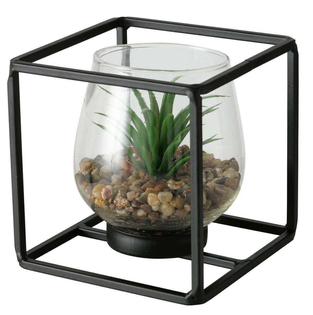 Műnövény Kaspóban Sukkulente - fekete/zöld, Modern, műanyag