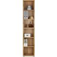 Etajeră Line 4 - alb/culoare lemn stejar, Modern, compozit lemnos (44/218/36cm) - Modern Living