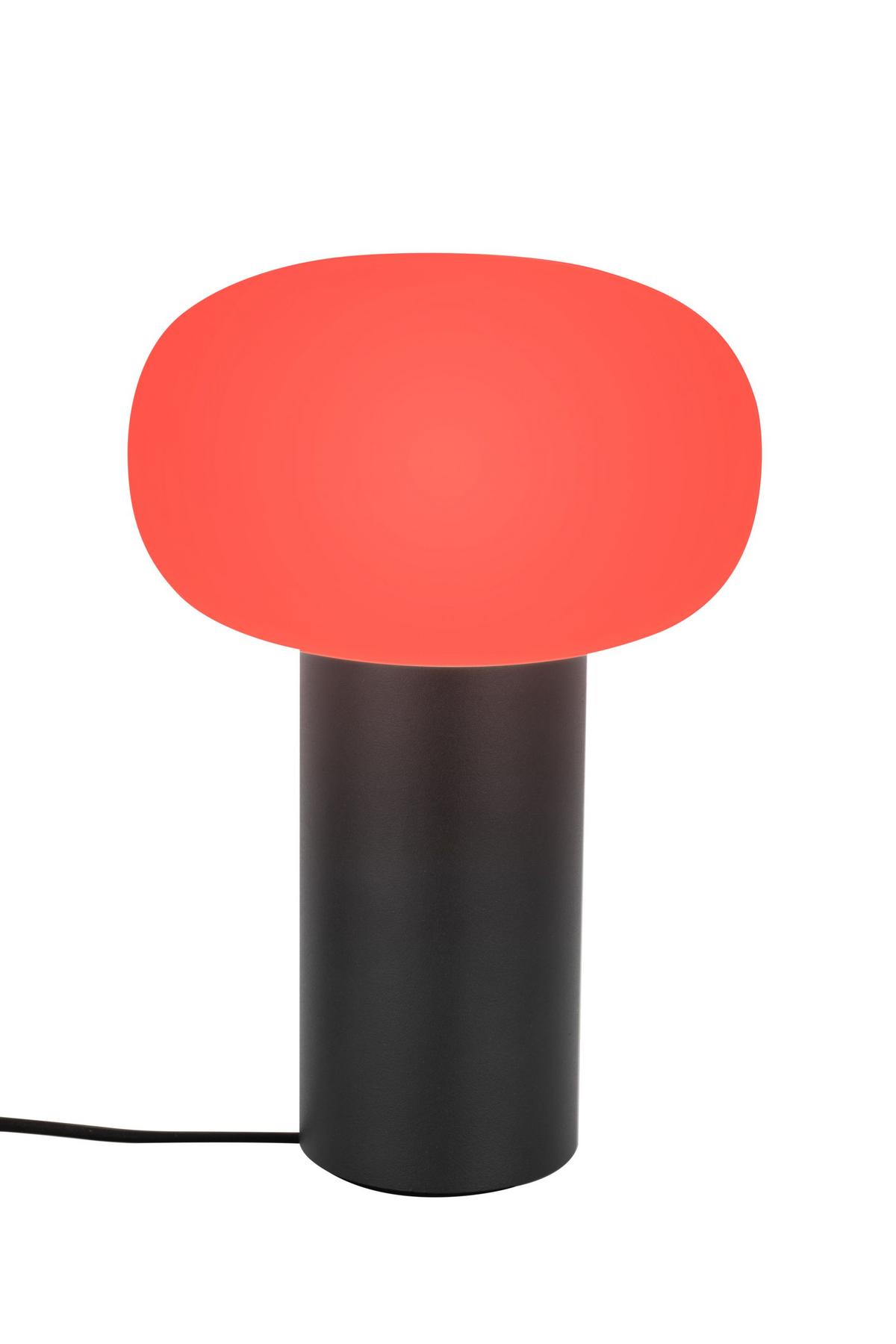 LAMPA STOŁOWA Z AKUMULATOREM FUNGO - biały/ciemnoszary, Design, metal/szkło (13/19cm) - Dieter Knoll