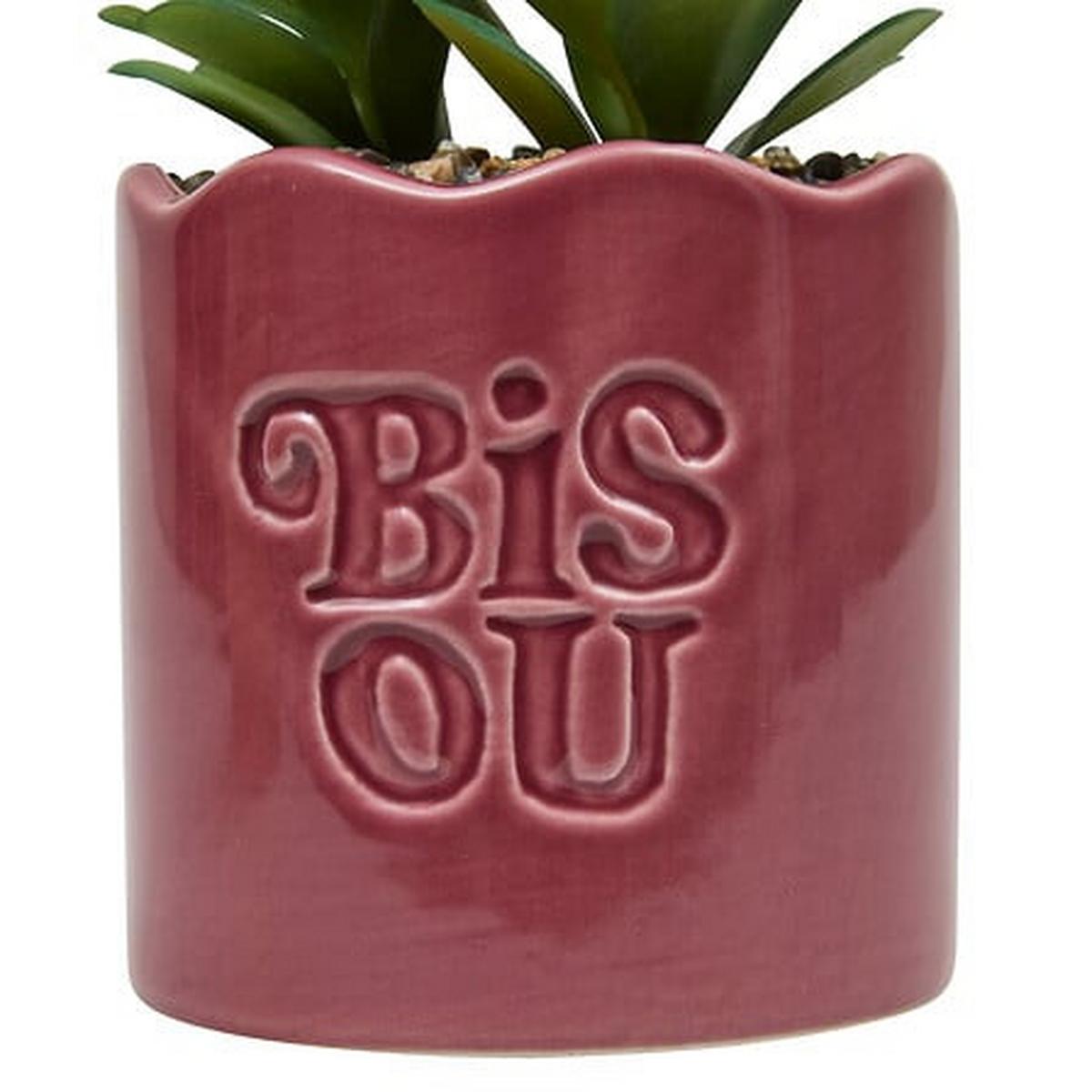 Plantă decorativă Cheri 14,5 cm - Basics (14,5cm)