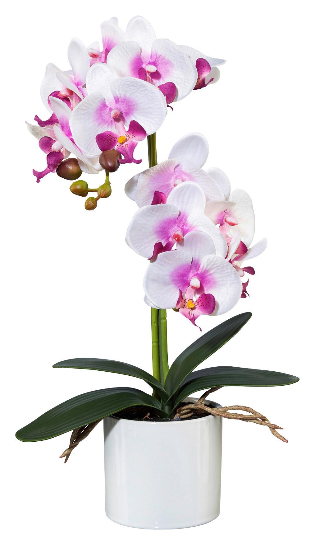 Kunstpflanze Maren diverse Farben - Lila/Weiß, ROMANTIK / LANDHAUS, Kunststoff/Metall (45cm) - Modern Living