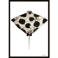 BILD STL-DE-ROUW-006-50X70-FRX-FRZW - Weiss/Schwarz, Basics, Holz/Kunststoff (50/70/10cm)