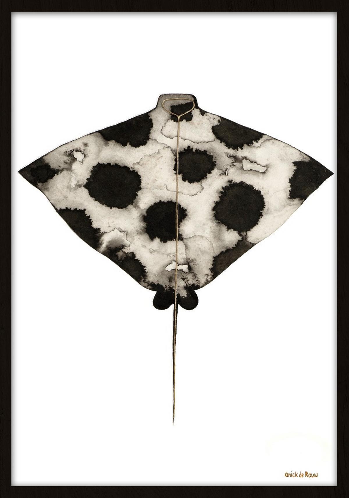 BILD STL-DE-ROUW-006-50X70-FRX-FRZW - Weiss/Schwarz, Basics, Holz/Kunststoff (50/70/10cm)