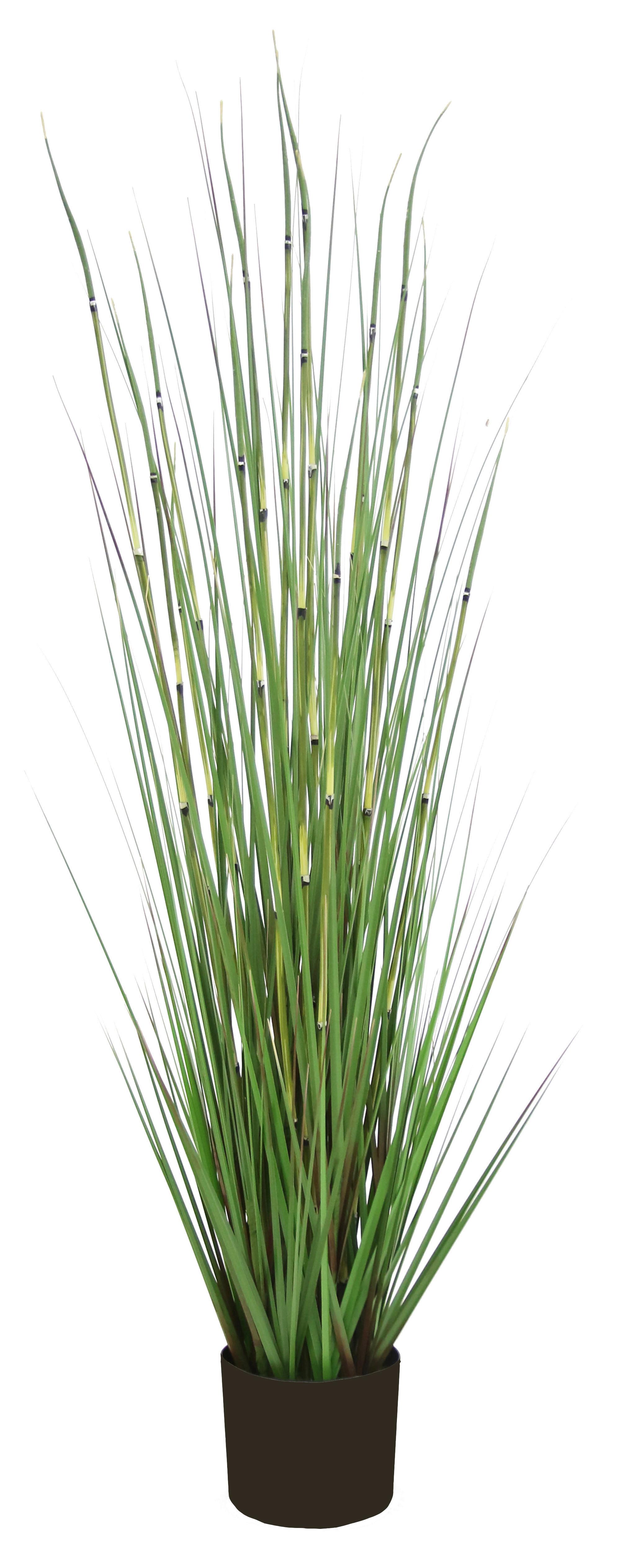 SZTUCZNA ROŚLINA 5057-DG - Basics (120cm) - Ambia Home