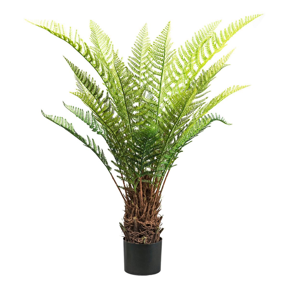 Kunstpflanze Baumfarn Dicksonia in Grün/Braun - Schwarz/Braun, Lifestyle, Kunststoff (115cm) - Modern Living