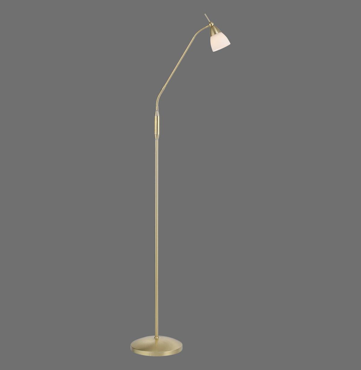 LED-Stehleuchte Pino Dimmbar max. 2,6 Watt - Basics (74/74/163cm) - Paul Neuhaus
