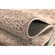 Hochflorteppich Nobel Micro ca.160x230cm - Hellbraun, MODERN, Textil (160/230cm) Hochflorteppich Nobel Micro ca.160x230cm - Hellbraun, MODERN, Textil (160/230cm)