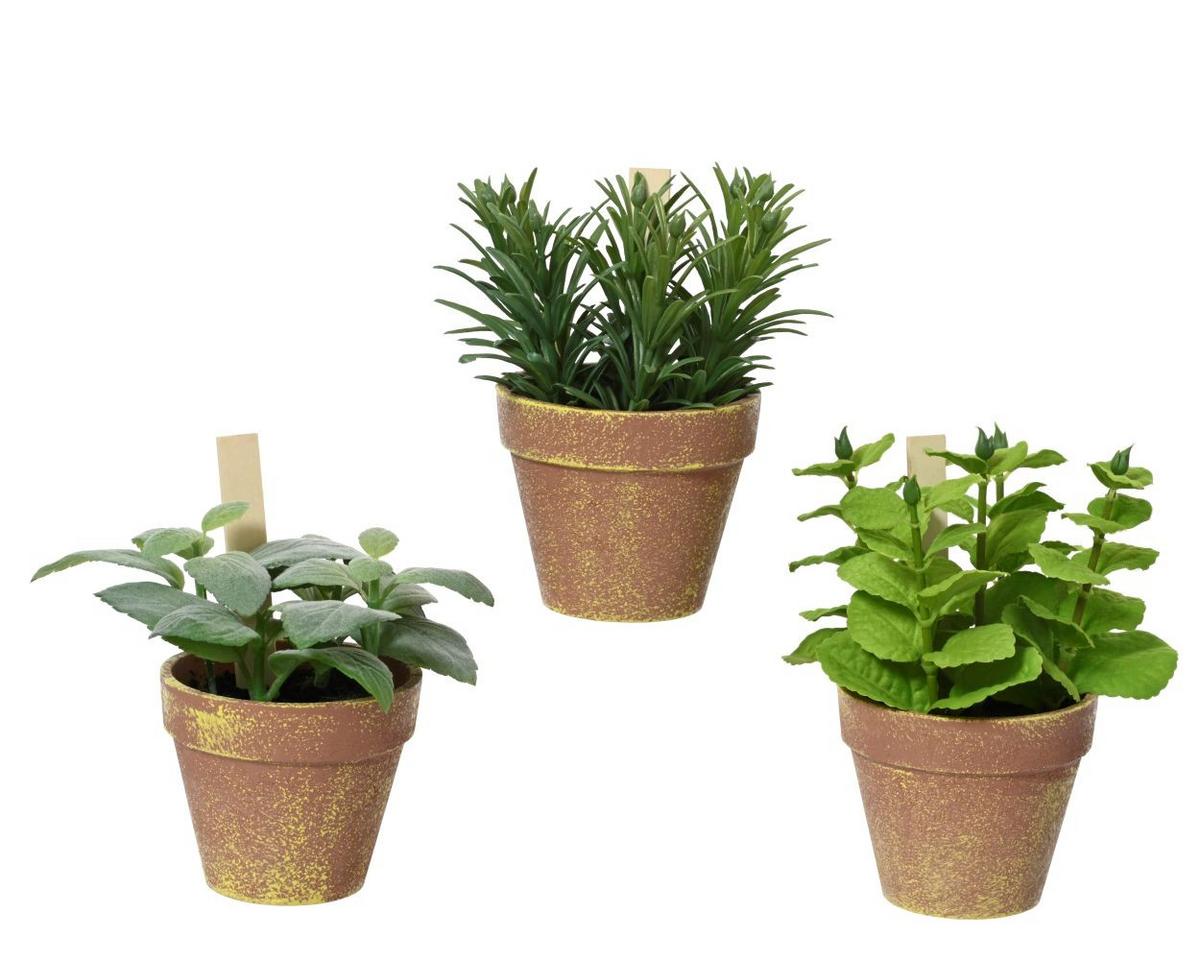 Plantă artificială Kimb, cca. 15x17 cm - verde, Basics, plastic (15/15/17cm)