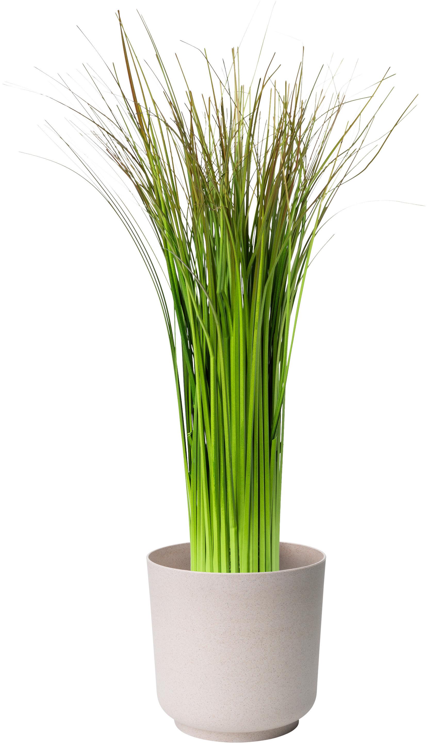 Kaspó Átm./ma.: Kb. 15/14,9cm Ecocare - fehér, Lifestyle, műanyag/fa (15/14,9cm) - ecoTree