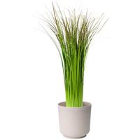 Kaspó Átm./ma.: Kb. 15/14,9cm Ecocare - fehér, Lifestyle, műanyag/fa (15/14,9cm) - ecoTree