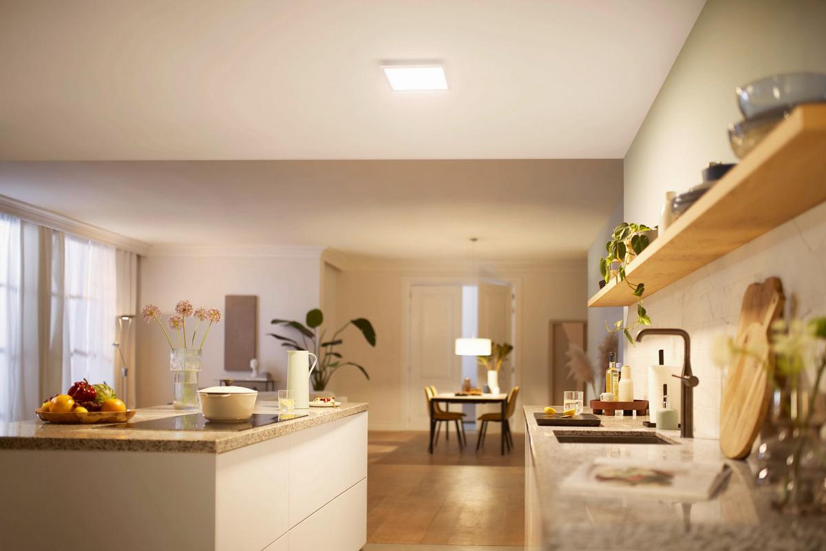 LAMPA SUFITOWA LED 32662000 - biały, Basics, tworzywo sztuczne (30/4,2/30cm) - Philips