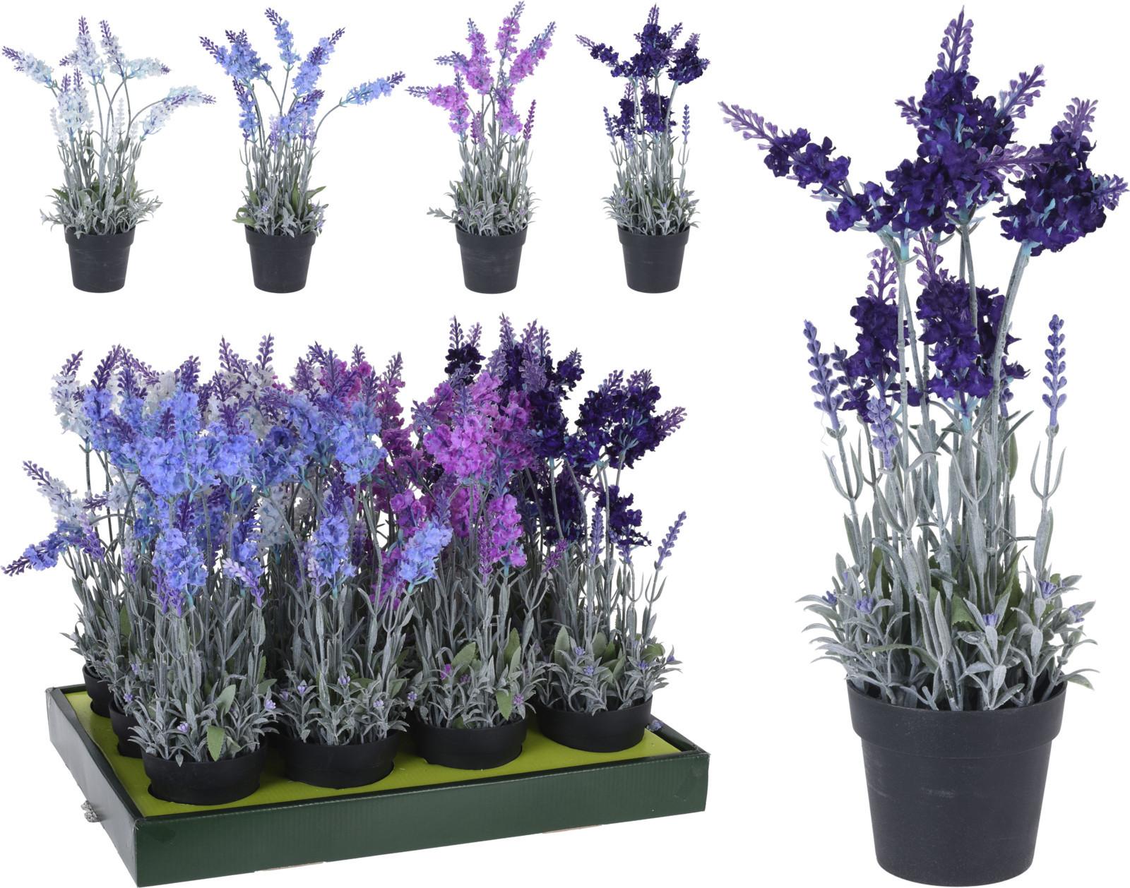 Plantă decorativă Lavender - Basics (40cm)