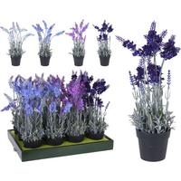 Plantă decorativă Lavender - Basics (40cm)