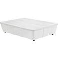 Unterbettroller Easy Big aus Kunststoff - Transparent, Kunststoff (79.5/18.0/58.3cm) Unterbettroller Easy Big aus Kunststoff - Transparent, Kunststoff (79.5/18.0/58.3cm)
