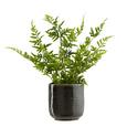 Ghiveci Decorativ Mood - gri, ceramică (12,5/13cm) - Modern Living Ghiveci Decorativ Mood - gri, ceramică (12,5/13cm) - Modern Living