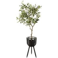 Okrasni Lonček Elija -Paz- - črna, Konvencionalno, les (25,8/49,5cm) - Zandiara