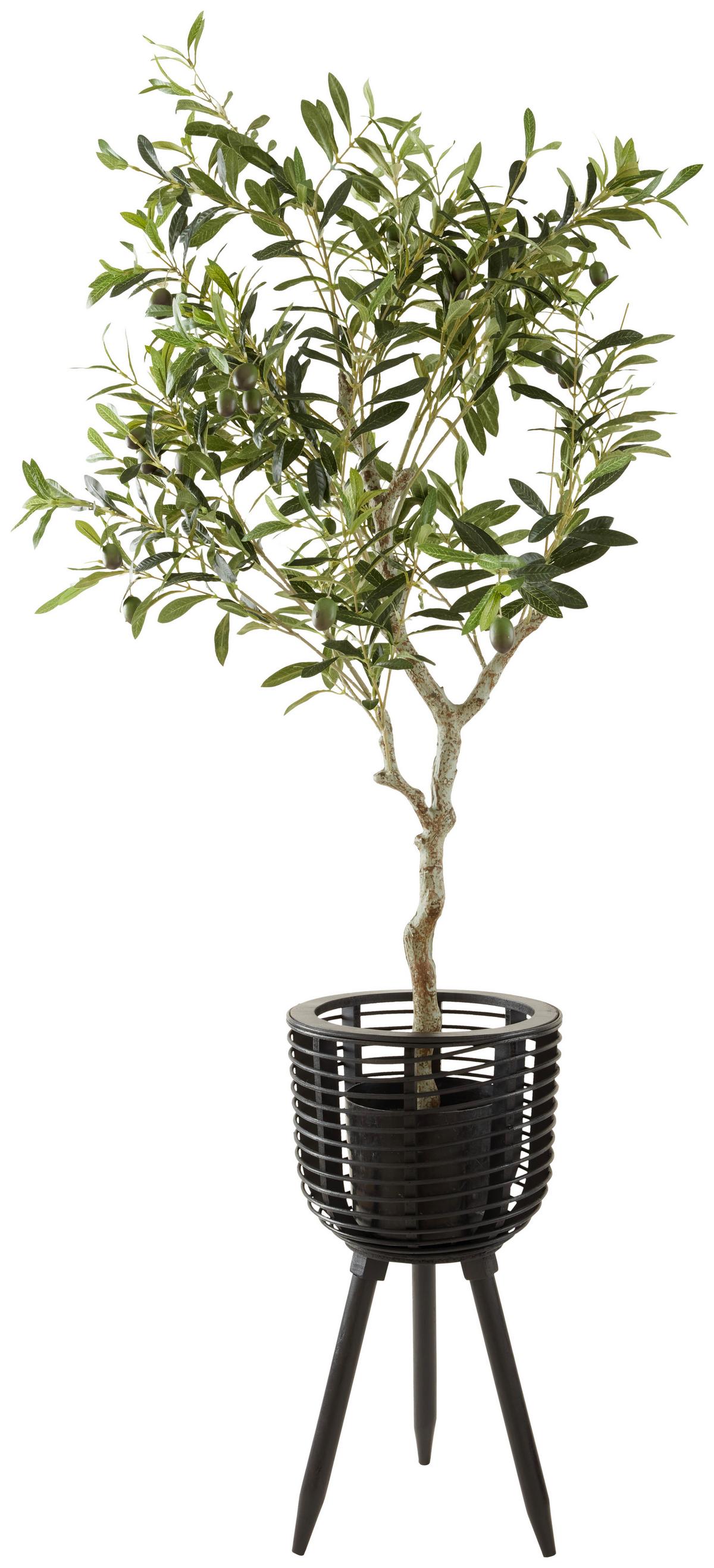 Okrasni Lonček Elija -Paz- - črna, Konvencionalno, les (25,8/49,5cm) - Zandiara