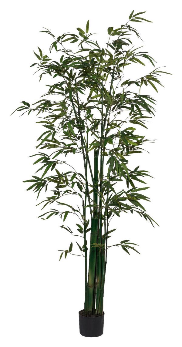 Kunstpflanze Bambus - Jetzt Online bestellen