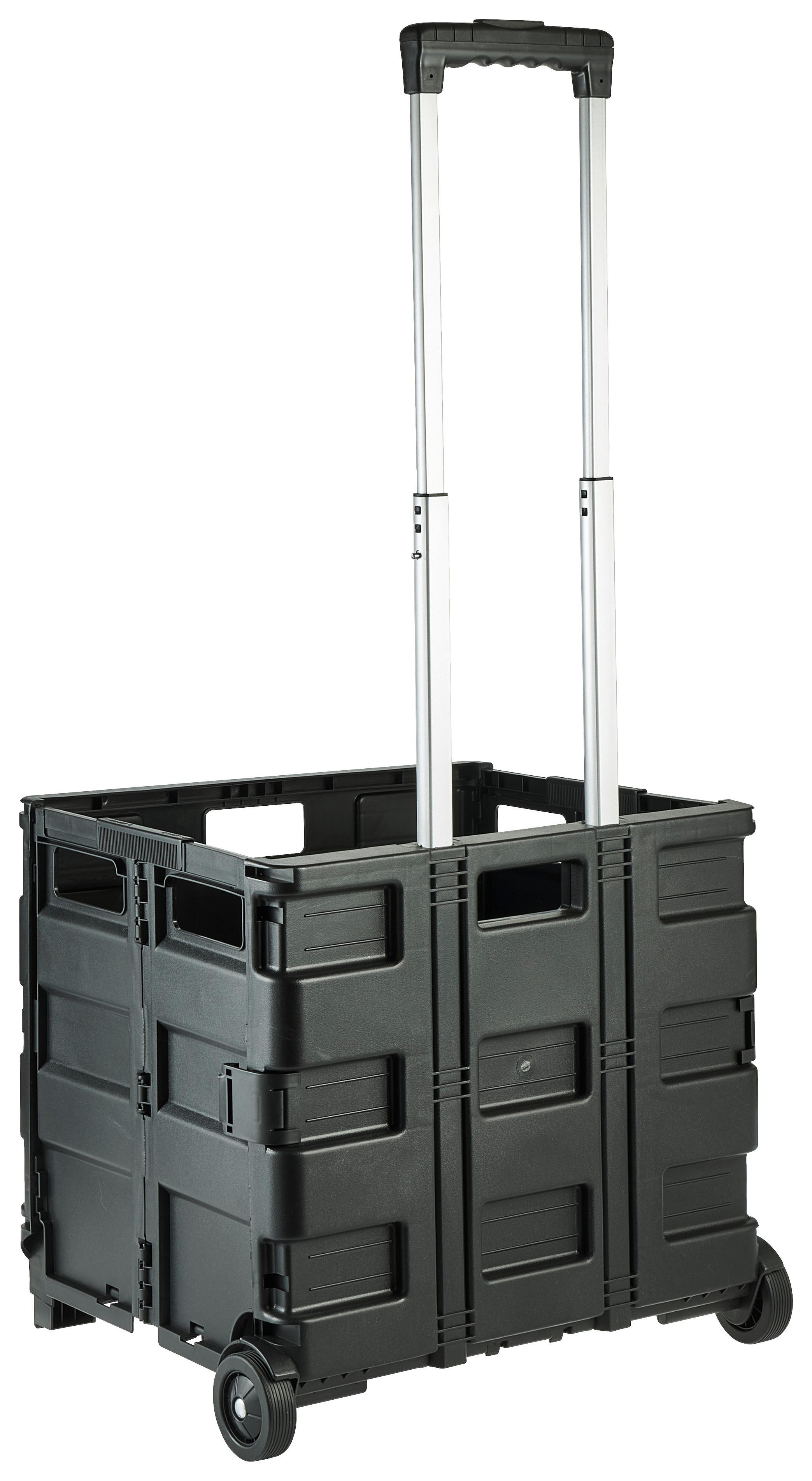 Gimi Twin Carrello Portaspesa Saliscale | Carrello spesa