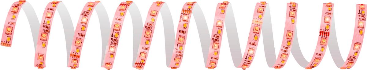 TAŚMA LED 8023252 PYP EXTENSION SET RGB/ - biały, Basics, tworzywo sztuczne (260/260cm) - Briloner