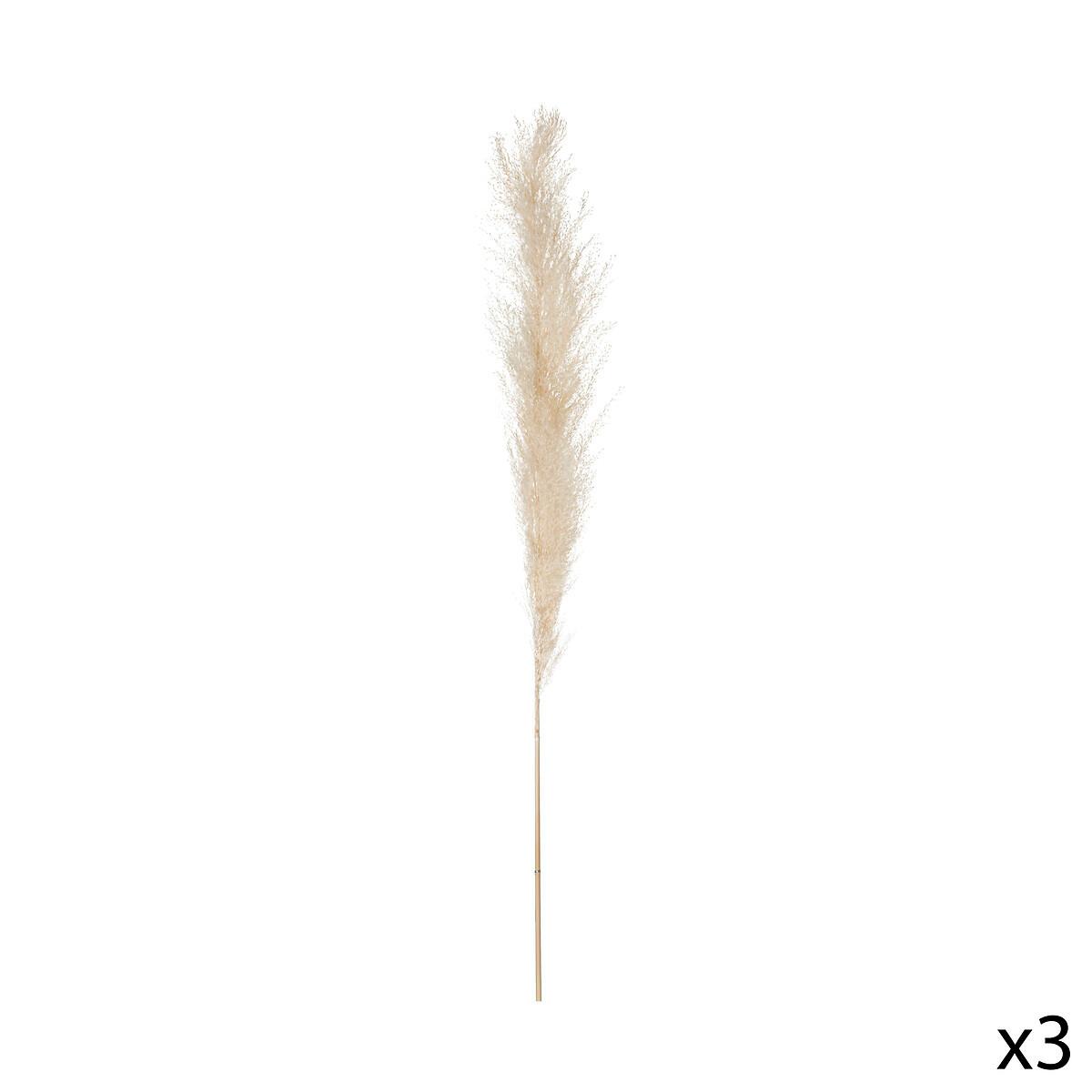 Floare artificială Pampa - Basics (11/109cm)