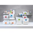 Škatla S Pokrovom 23920101 - prosojna, Konvencionalno, umetna masa (36.4/25.6/9.8cm) - MÖMAX modern living