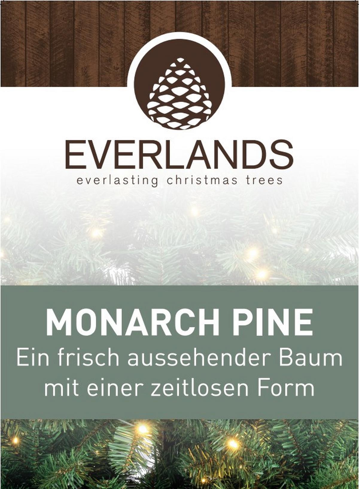CHOINKA MONARCH KIEFER - zielony, Basics, tworzywo sztuczne/metal (116/180cm) - X-Mas