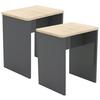Set Taburejev Esal, 2-Delni, Antracit - antracit, Moderno, leseni material (40/45/30cm) - MID.YOU