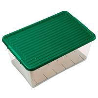 Box mit Deckel Xmas Grün/Transparent für 43 Kugeln - Transparent/Grün, KONVENTIONELL, Karton/Kunststoff (58/39/36,5cm) - Mömax