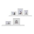 Falipolc Armerina -sb- - (80/3/9cm) Falipolc Armerina -sb- - (80/3/9cm)