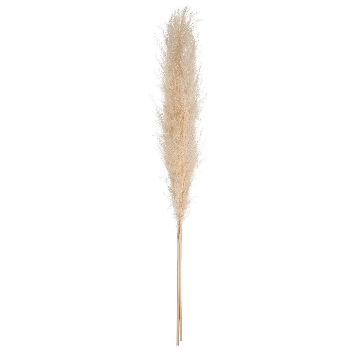 Floare artificială Pampa - Basics (11/109cm)