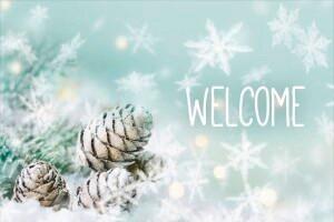 Fußmatte Welcome Multicolor ca. 40x60cm - Multicolor, Basics, Textil (40/60cm)