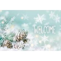 Fußmatte Welcome Multicolor ca. 40x60cm - Multicolor, Basics, Textil (40/60cm)