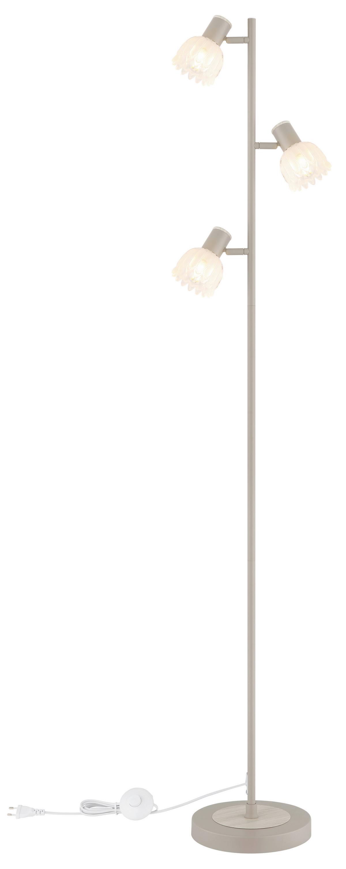 Podna Svjetiljka Planta - boje pijeska/crna, Konvencionalno, staklo/metal (28/23/154cm) - Globo