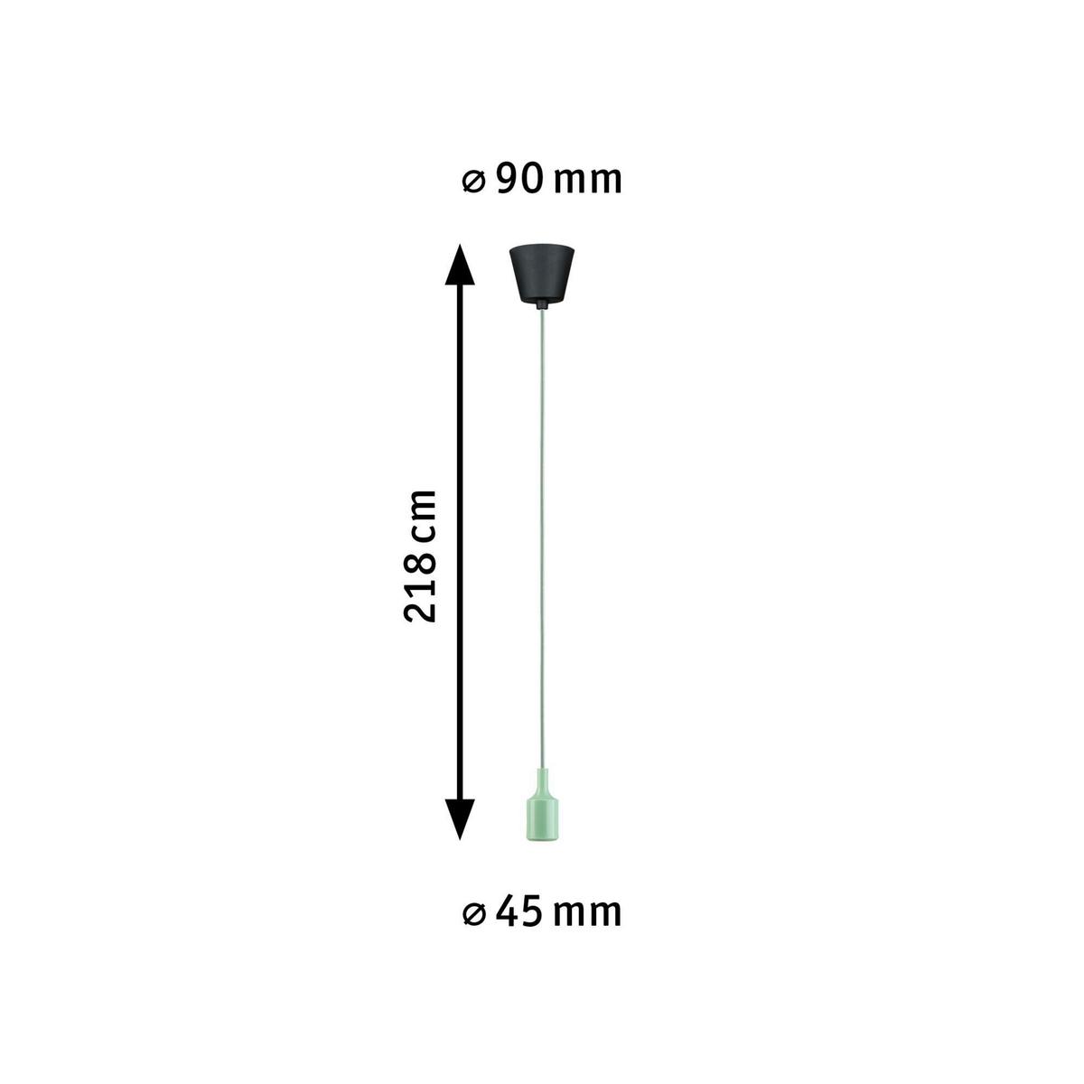 Hängeleuchte Ketil in Schwarz/Hellgrün max. 60 W - Basics (9/218,cm) - Paulmann