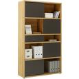 Regal Eichefarben - Eichefarben/Anthrazit, MODERN, Holzwerkstoff/Kunststoff (116,6/199,8/37cm) - Premium Living Regal Eichefarben - Eichefarben/Anthrazit, MODERN, Holzwerkstoff/Kunststoff (116,6/199,8/37cm) - Premium Living