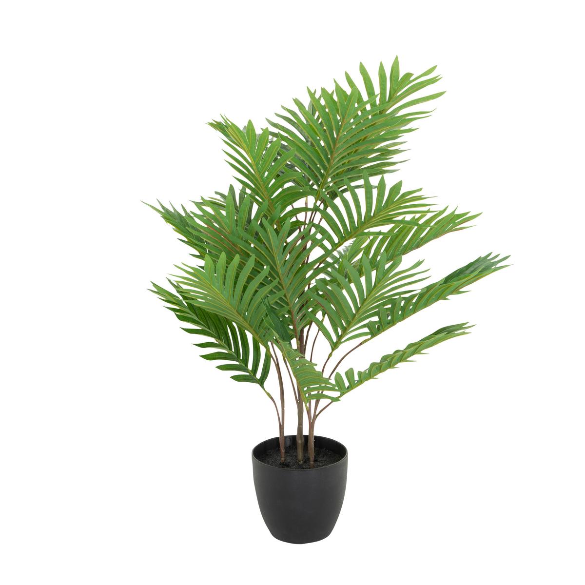 Umetna Rastlina Areca - črna/zelena, Basics, umetna masa/tekstil (60/70/60cm) - MID.YOU