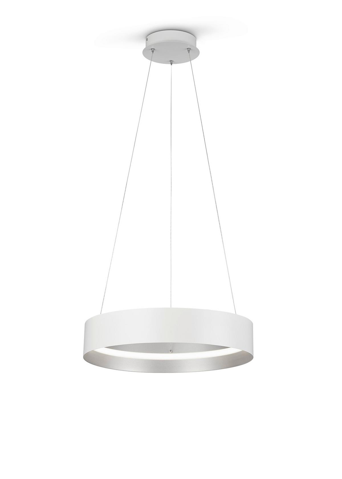 LAMPA WISZĄCA LED MR34461131 LOOP - kolor srebrny/biały, Design, metal (50/150cm) - Musterring