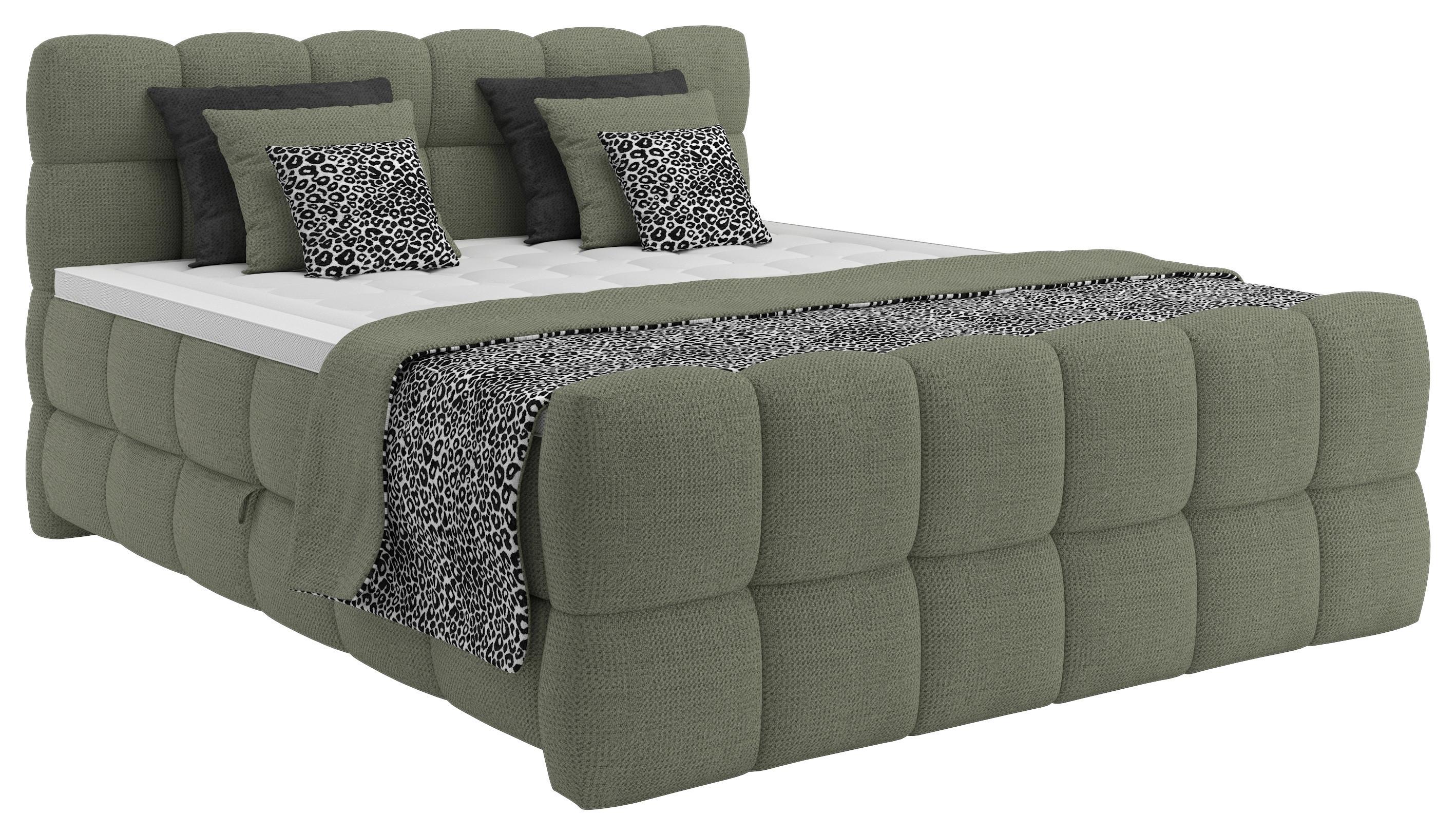 Boxspring Krevet Brisbane - zelena/crna, Trend, drvni materijal/drvo (120/220cm) - Premium Living