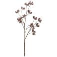 Dekozweig Nadal Braun - Goldfarben/Braun, Kunststoff (77cm)