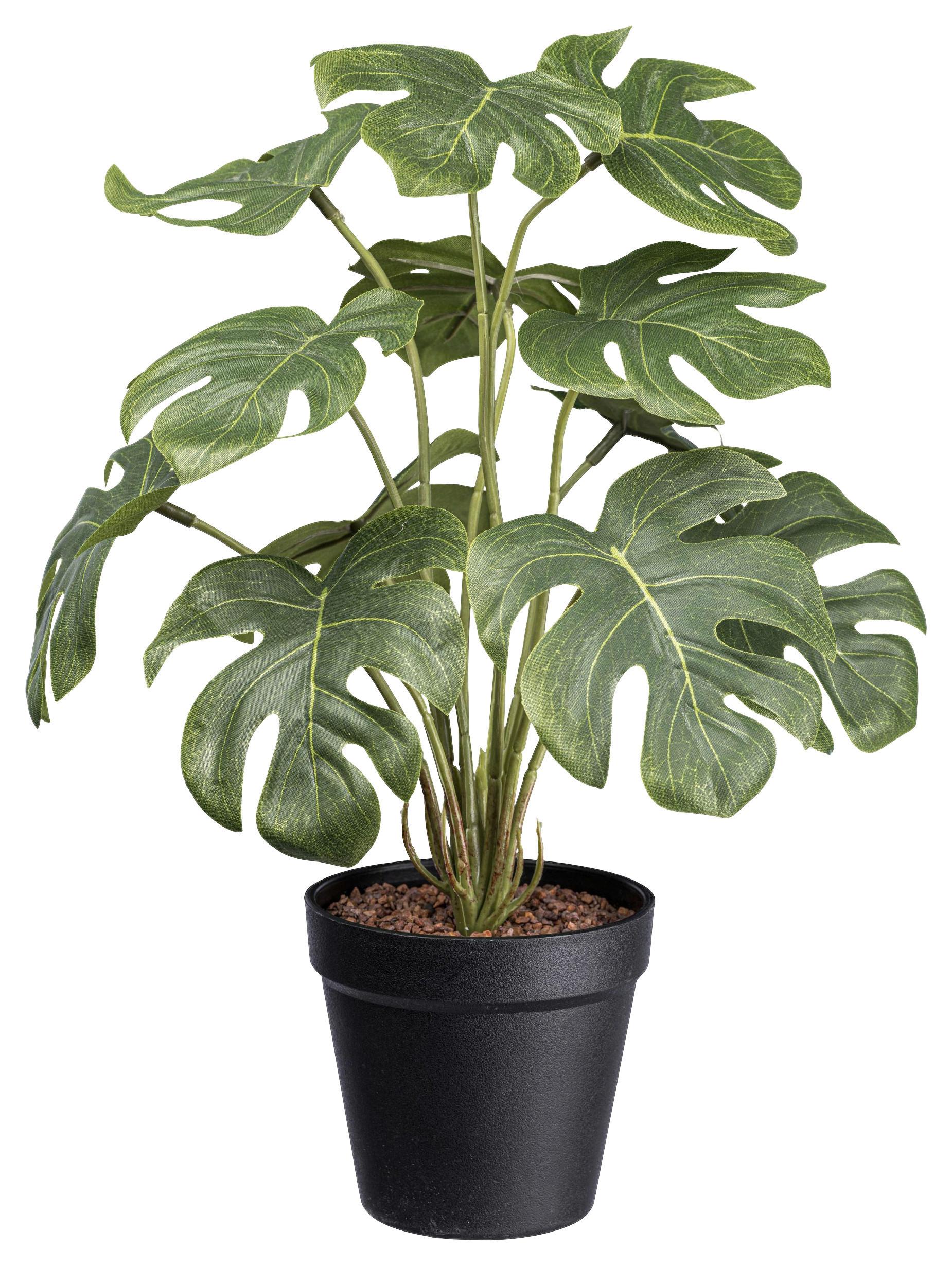 Kunstpflanze Spliphilodendron in Grün - Schwarz/Grün, Basics, Kunststoff (38cm) - Modern Living