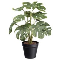 Műnövény Spliphilodendron Ii - fekete/zöld, Basics, műanyag (38cm) - Modern Living
