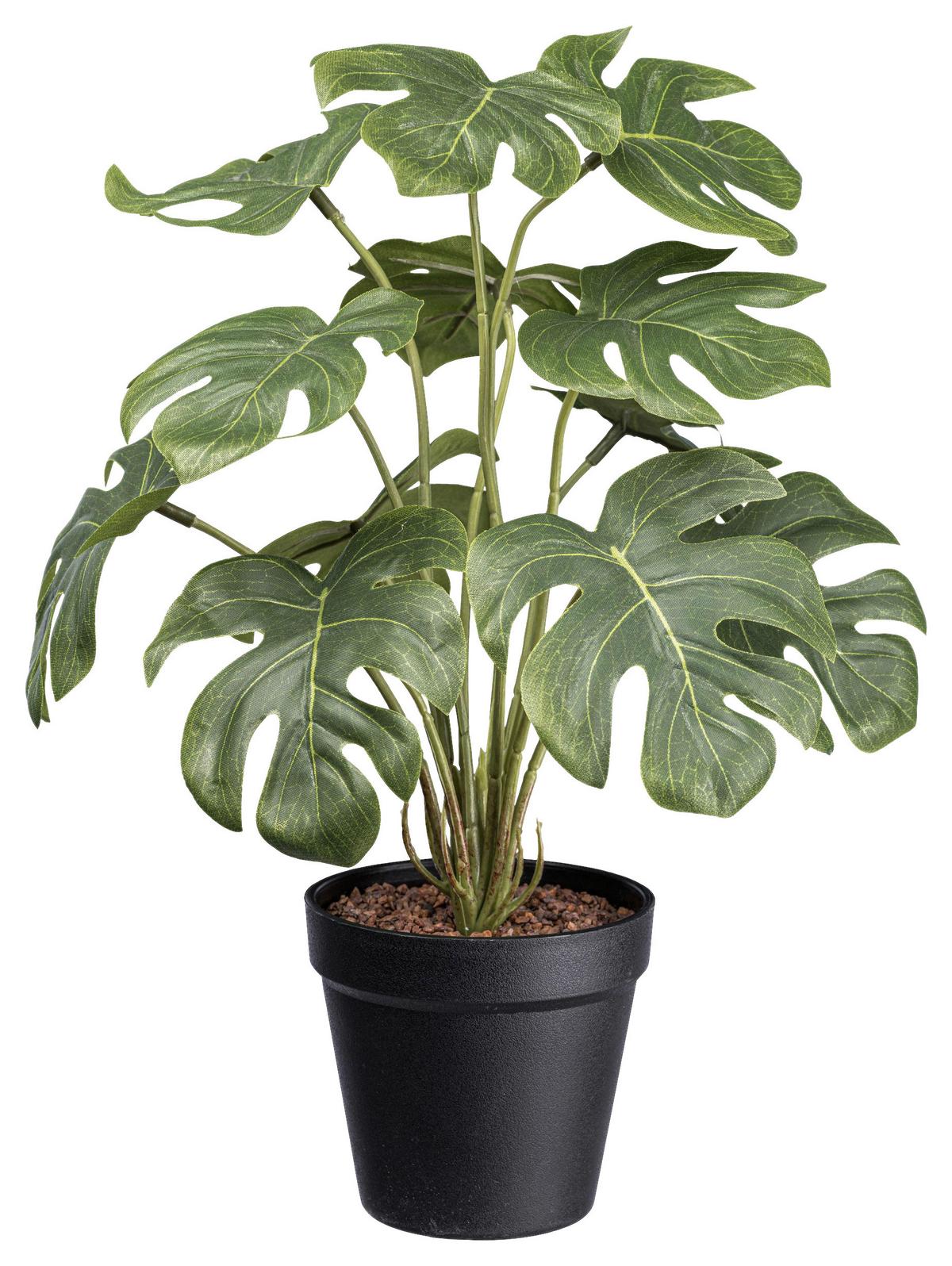 Műnövény Spliphilodendron Ii - fekete/zöld, Basics, műanyag (38cm) - Modern Living