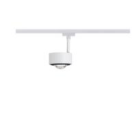 Schienensystem-Strahler Spot Aldan max. 8 Watt - Schwarz/Weiß, Basics, Metall (9,8cm) - Paulmann