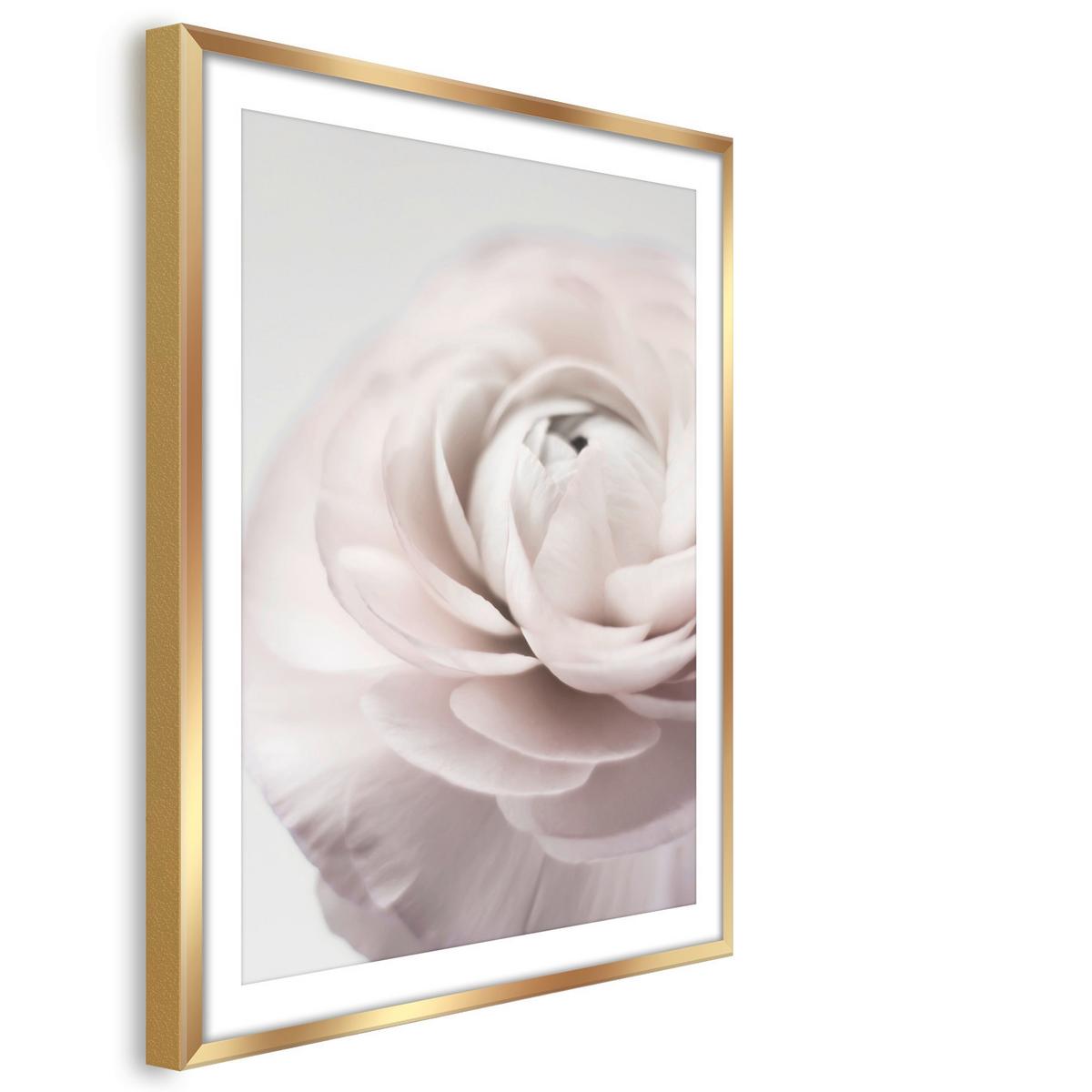 Bild Image ca. 50x70cm - Goldfarben/Weiß, Holzwerkstoff/Papier (50/70cm) - Modern Living