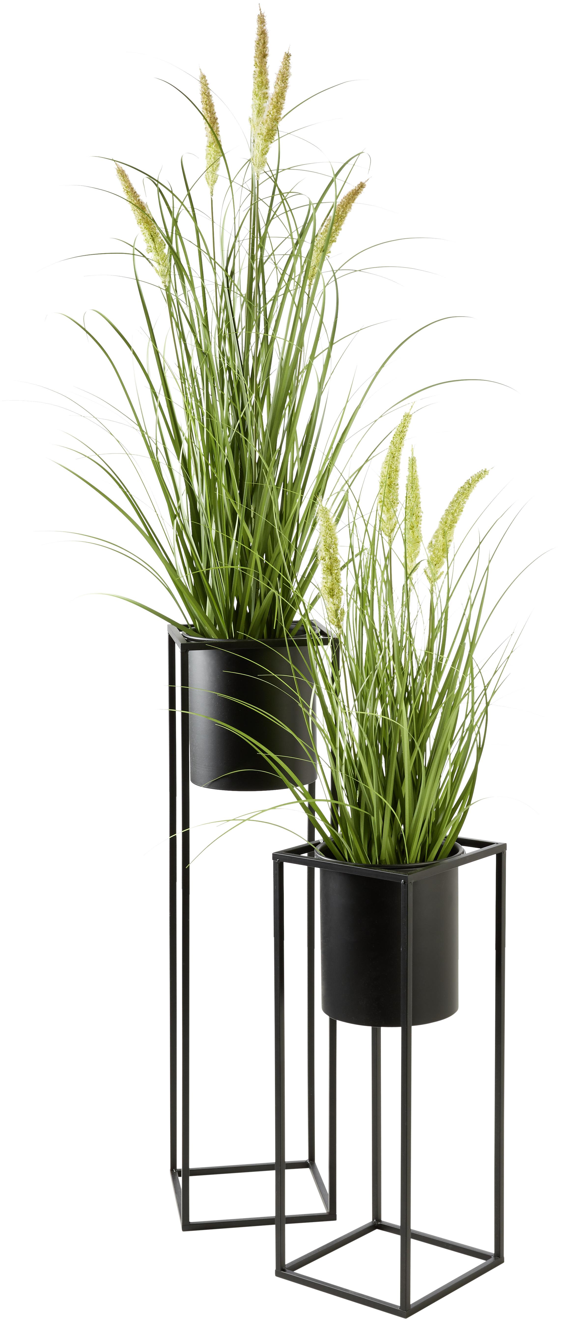 Übertopf Kiara aus Eisen in Schwarz - Schwarz, LIFESTYLE, Metall (20,8/55,5cm) - Mömax