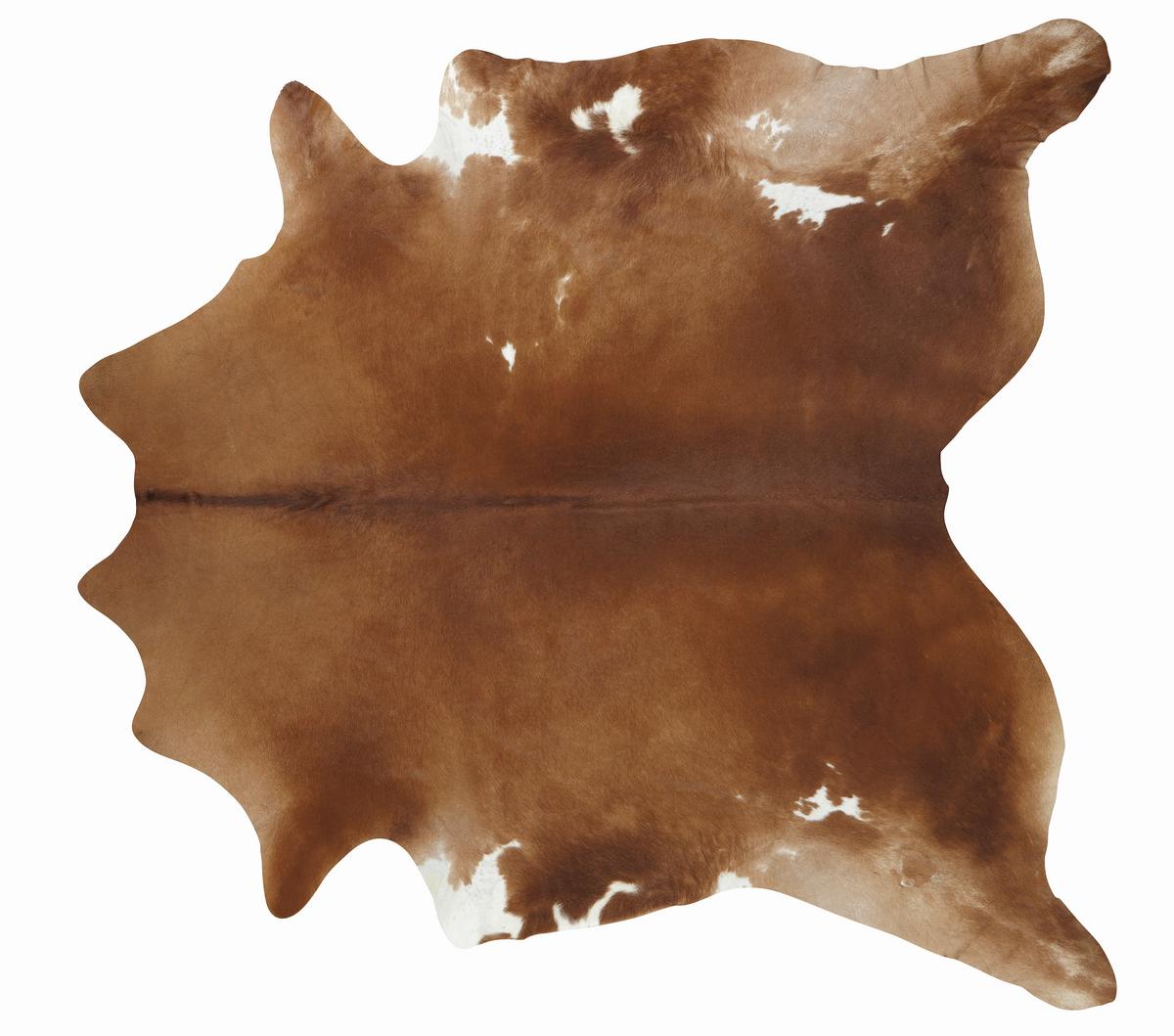 Goveja Koža Daniela, Različne Izvedbe, Ca. 1,5-2 M² - naravne barve, Konvencionalno, usnje (1,5-2qm) - Mömax
