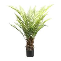 Kunstpflanze Baumfarn Dicksonia in Grün/Braun - Schwarz/Braun, Lifestyle, Kunststoff (115cm) - Modern Living